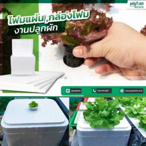 Hydroponic growing foam, foambox, foam sheet, foam box